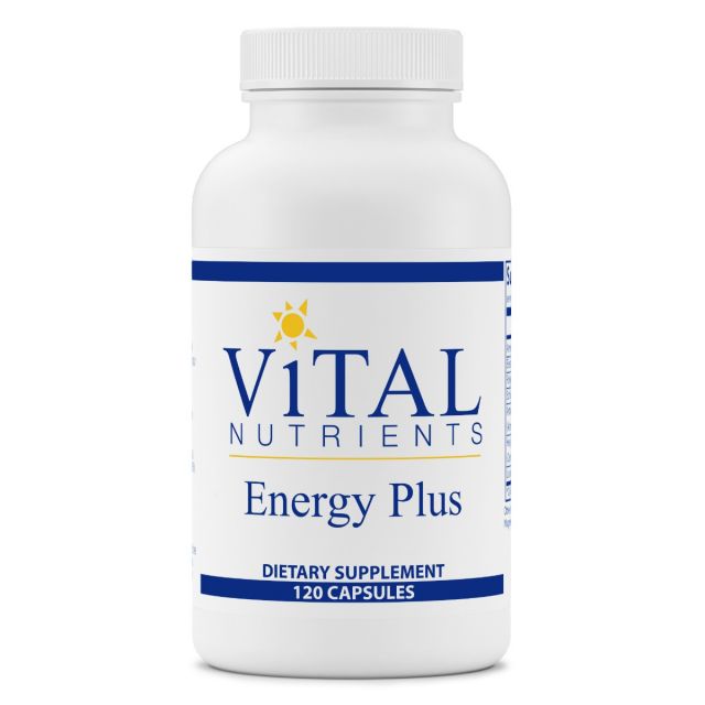 Energy Plus