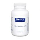 Mitochondria-ATP